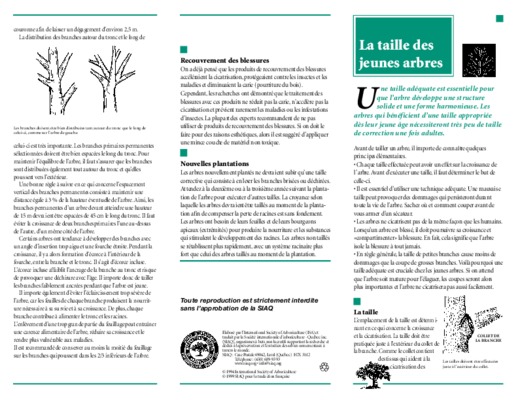 arbre taille Book