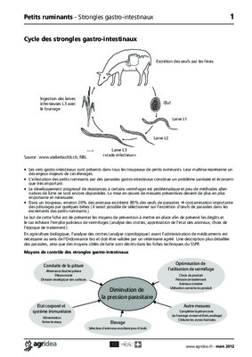 les strongles respiratoires Book