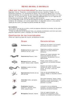 examen los invertebrados Book