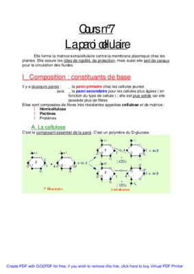 cours sur les paroi smoule en mds Book