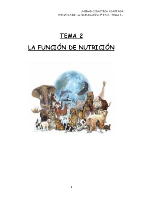la funcion de nutricion Book