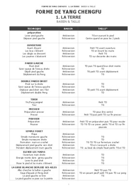 applications martiales de la forme de yang chengfu Book
