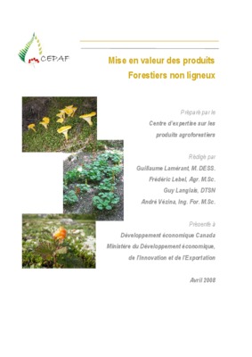 la mise en valeur de l_offre de produits et de services Book