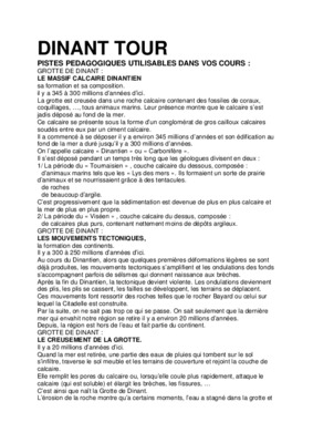 dinant Book