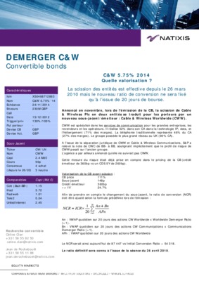 demerger Book