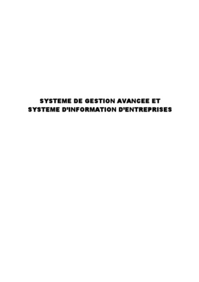le role du systeme d_information dans la gestion des entreprises Book
