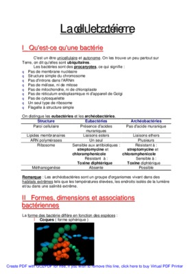 organisationde la cellule bacterienne Book
