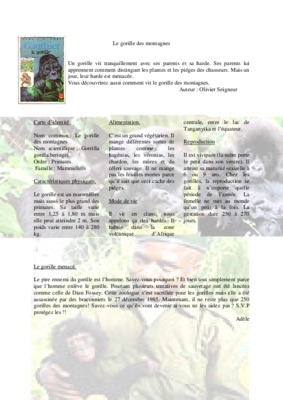 le gorille Book