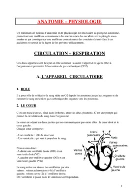 anatomie et physiologie circulation listes des fichiers pdf anatomie et physiologie circulation anatomie et physiologie circulation Book