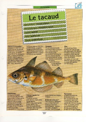 operation tacaud Book