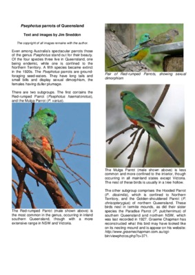 asiatic parrots and their mutations Book