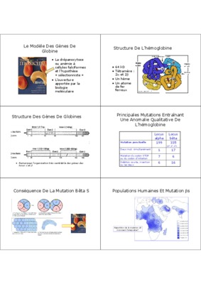 les differents role de globine Book
