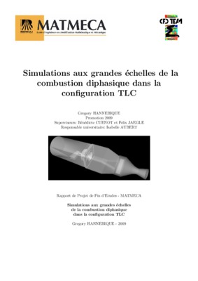 caracteristique d_un brouillard dans la combustion diphasique Book