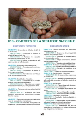 french morocco Book