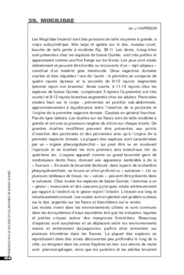 mugilidae Book