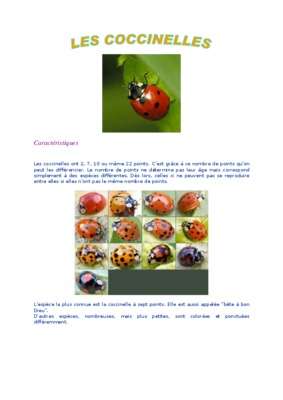 lymphes Book