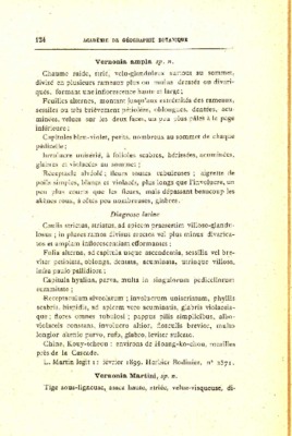 vernonia Book