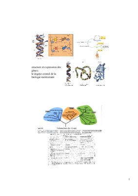 biologie epreuve b expression des genes varie chez les organismes Book