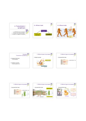 exercice corrigee svt transmission synaptique bac devoir tunisie Book