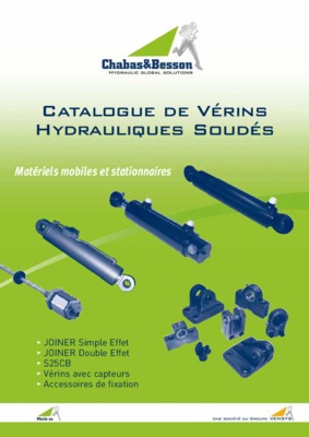 chabas besson Book
