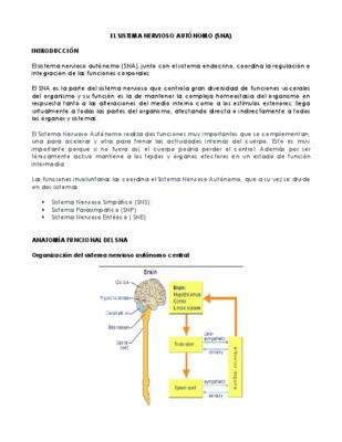 maje en el sistema nervioso Book