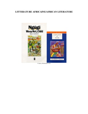 myth literature and the african world Book