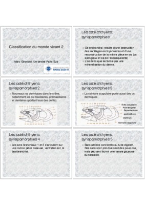 synapomorphies Book