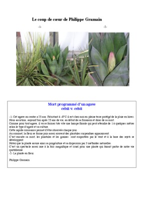 agave Book