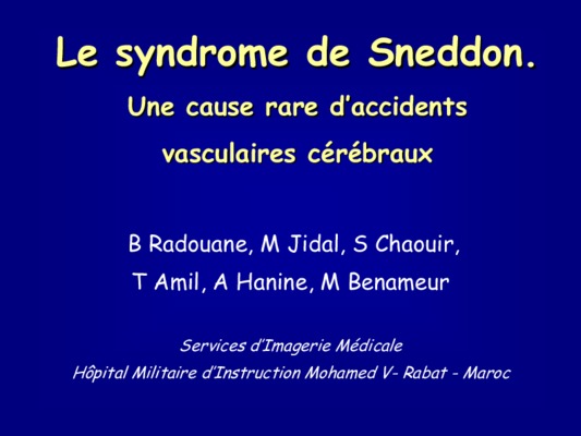 radouane el amrani Book