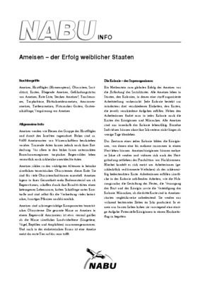 staaten Book