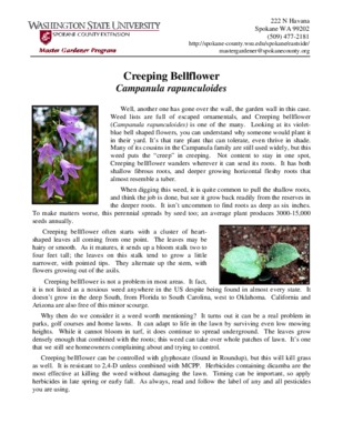 campanula Book