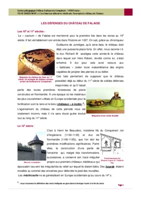 chateau de falaise Book
