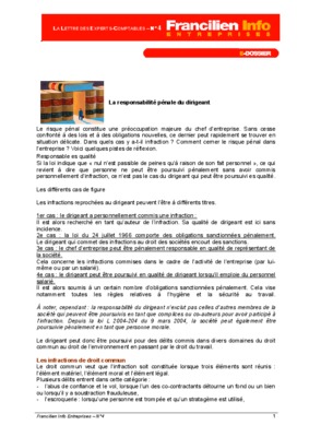 responsabilite penal du dirigeant de societes commerciales Book