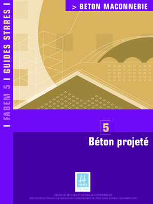 beton projete Book