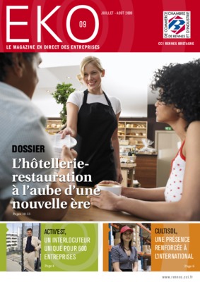 restauration des maisons Book