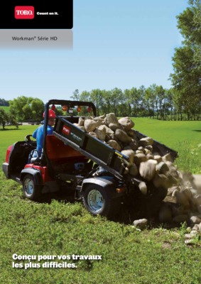 toro 223 Book