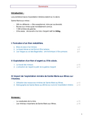 metallifere Book
