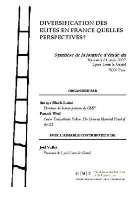 les elites synthaise Book