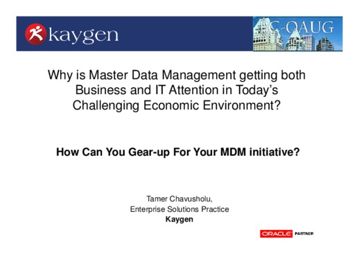 master data management Book