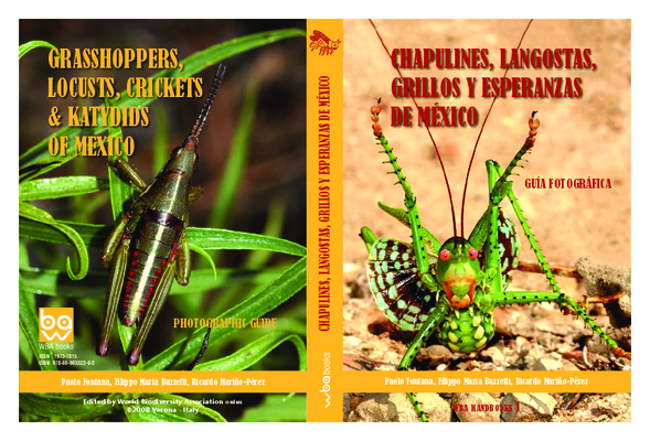 chapulines Book
