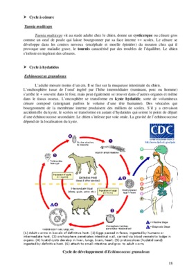 hydatide Book