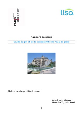 rapport de stage remi Book