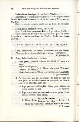 brevipes Book