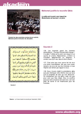 insenses Book