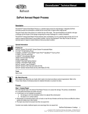 repair process Book