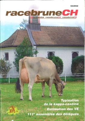nappa Book