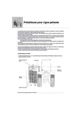 palissee Book