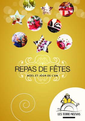 terre neuvas Book