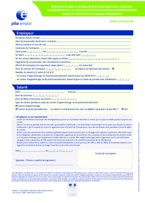 Formulaire Demande Allocation Pole Emploi Pdf Notice Amp Manuel