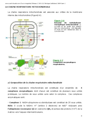 la chaine respiratoire Book